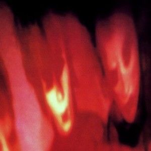 Meet your Posher, Cara